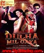 Dulha Mil Gaya 2010 movie album cover