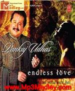 Endless Love 2006 movie album cover