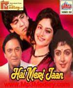 Hai Meri Jaan 1991 songs