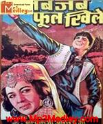 Jab Jab Phool Khile 1965 songs