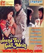 Jeena Teri Gali Mein 1991 movie album cover