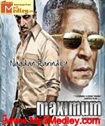 Maximum 2012 songs