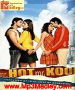 Mr Hot Mr Kool 2007 movie album cover