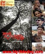 Shunyo Awnko 2013 songs