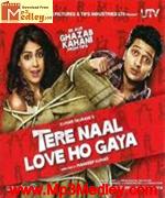 Tere naal love ho gaya 2012 songs